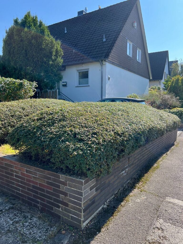 photo 1 2024 09 21 23 01 45