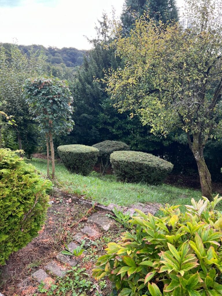 photo 2024 09 12 23 23 21