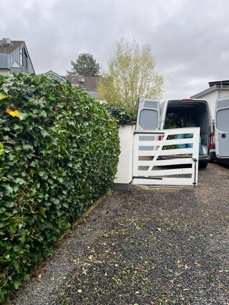 photo 1 2024 11 03 22 33 57