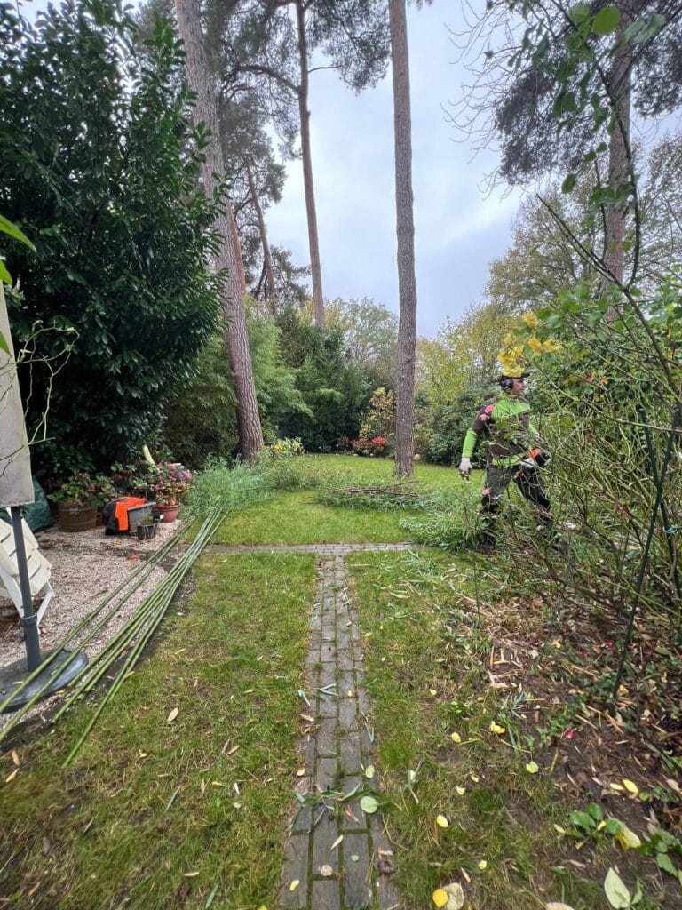 photo 2 2024 11 03 22 33 57