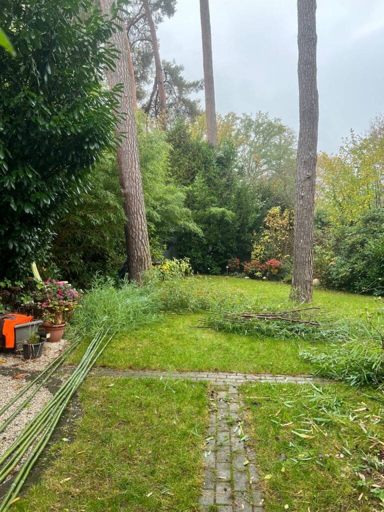 photo 3 2024 11 03 22 33 57