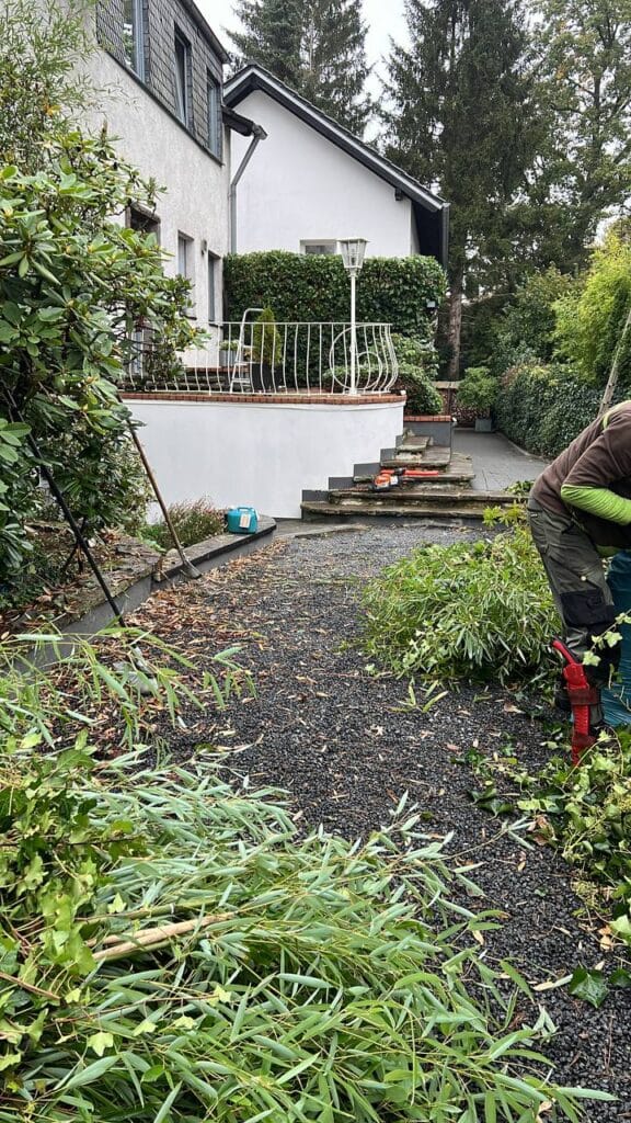 photo 5 2024 11 03 22 33 57